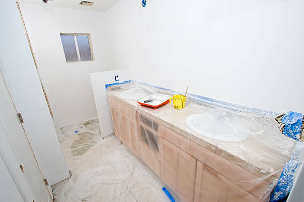 Best Drywall Texturing  in South Chicago Heights, IL